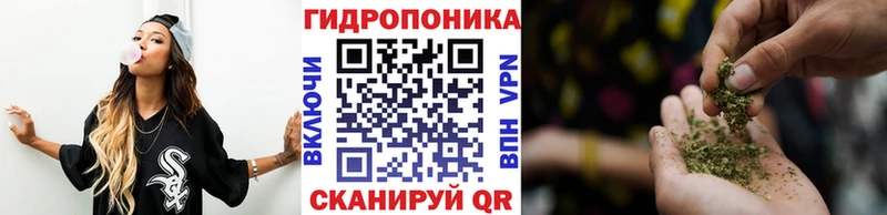 закладка Чухлома Канабис семена